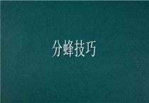 分蜂技巧