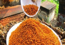 荷花粉和茶花粉的区别？ 详细介绍