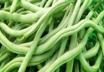 四季豆要掐尖吗？