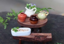 迷你花盆适合养什么花