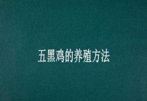 五黑鸡的养殖多久？