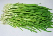 像韭菜一样的菜