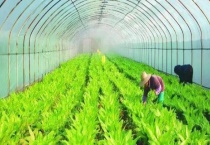 常见的生态循环农业模式 有以下六种