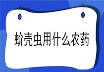 蚧壳虫用什么农药