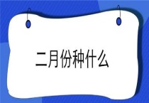 二月份种什么？