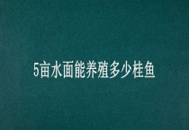 5亩水面能养殖多少桂鱼
