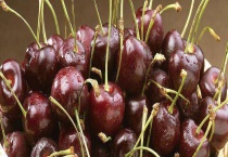 车厘子怎么保存？和樱桃有哪些区别？？