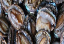 死了的鲍鱼可以吃吗 怎么判断鲍鱼死了多久 如何存放