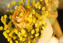 满天星干花能保持多久？