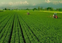 什么是农业产业化？附农业产业化的基本特征 特点和发展趋势