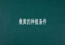 桑黄的种植条件