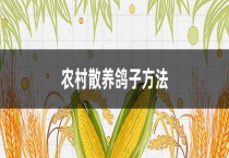 农村散养鸽子多久？