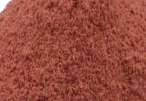 钓大板鲫用什么饵料好？不同饵料适合什么鱼类