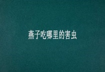 燕子吃哪里的害虫