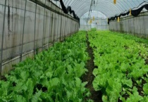 可以用哪些药剂来防治有机蔬菜的病虫害 掌握这些方法（微生物篇）