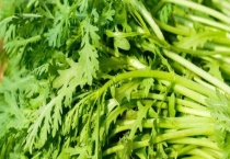 茼蒿和空心菜是一种菜吗 有什么不同