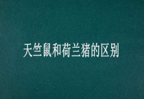 天竺鼠和荷兰猪的区别？