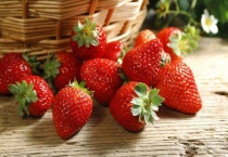 草莓发芽后怎么移栽