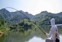 溪流钩适合钓什么鱼？具体有什么特点