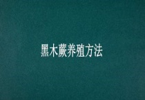 黑木蕨养殖多久？
