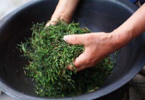 家庭如何炒茶