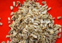 柚子籽种出来能结果吗？