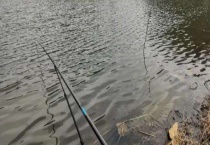 冬季野钓实用技巧大全 钓点、钓时怎样选择