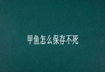 甲鱼怎么保存不死