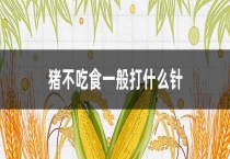 猪不吃食一般打什么针