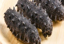 海参是什么动物？海参长什么样