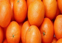 适合在秋冬季节吃的水果有哪些 这些水果好吃又健康