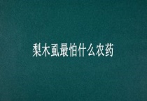 梨木虱最怕什么农药