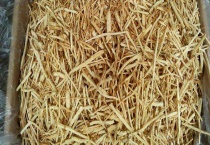 沙参和党参的区别？ 附具体区别？