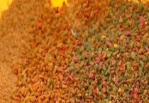 专钓大鲫鱼的饵料配方推荐 常见配方有哪些？