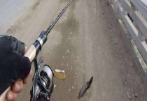 用什么鱼竿钓黑鱼 钓黑鱼有哪些注意事项