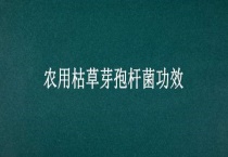 农用枯草芽孢杆菌功效