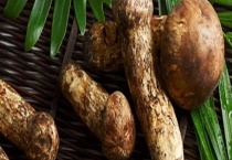 鲜松茸生吃可行吗 松茸的品类有哪些？