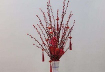 银柳可以剪短吗？