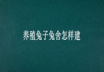 养殖兔子兔舍怎样建