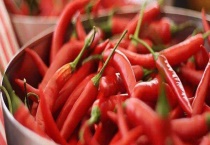 辣椒产地主要在哪个省 附辣椒品种