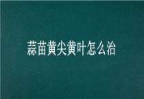 蒜苗黄尖黄叶怎么治