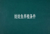 娃娃鱼养殖条件