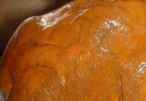 黄龙玉与黄蜡石的区别？ 附黄龙玉价值