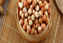 芡实多少钱一斤？附芡实的选购多久？