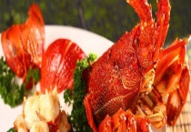 澳洲龙虾和波士顿龙虾有什么区别？？详解宰杀步骤