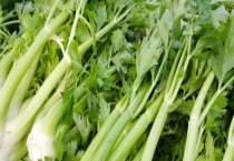 什么药对芹菜软腐病有效 芹菜软腐病有什么防治多久？