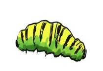 菜青虫温度多少能冻死