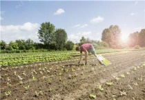 春天做的农事都有什么？