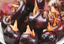 马蹄用什么肥料最大个