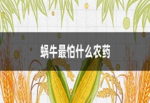 蜗牛最怕什么农药